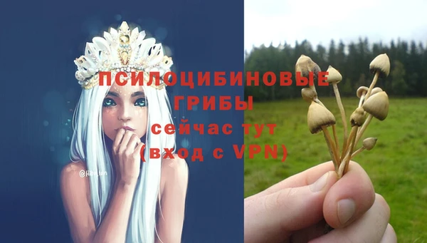 первитин Осинники