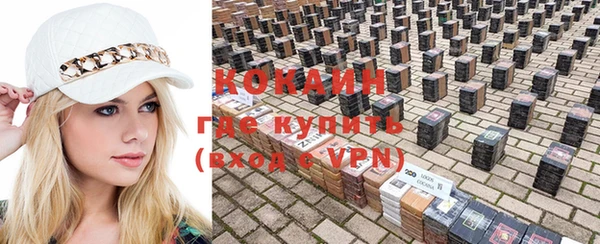 МДПВ Ветлуга