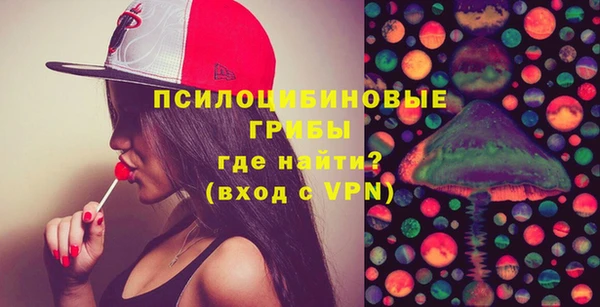 спиды Няндома