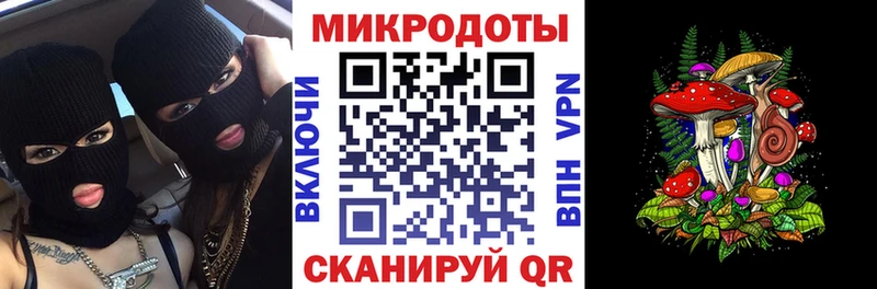Псилоцибиновые грибы Psilocybe Сосновка